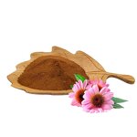 Echinacea Extract Manufacturer - 100% Natural, 10% Polyphenol