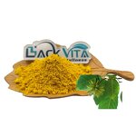 Camptotheca Extract Manufacturer - CAS 7689-03-4 Camptothecin