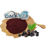 Black Elderberry Juice Powder Manufacturer - Organic & OEM/ODM