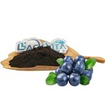 Bilberry Extract Manufacturer - 25% Anthocyanidins