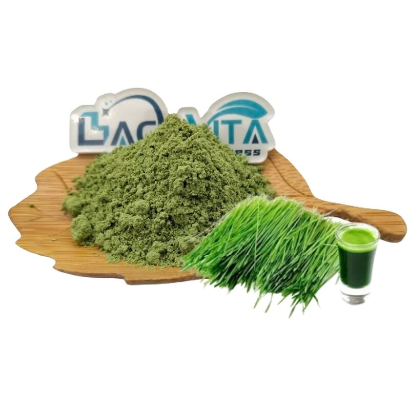 Barley Grass Powder Manufacturer - 100% Pure & OEM/ODM