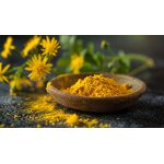 Safflower Extract Manufacturer - Food Grade Yellow Pigment Powder