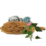 Marshmallow Extract Manufacturer - 10:1 & 20:1 Leaf Extract Powder