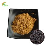 Cornus Officinalis - Natural Dried Pulp Extract Pure Powder MOQ 1 KG Bulk