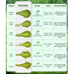 Matcha Powder Manufacturer - 6A USDA Certified Organic Food Grade Beverage Supplement OEM