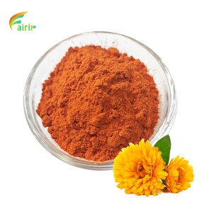 Ligustrum Lucidum - Natural Dried Fruit Extract Pure Powder MOQ 1 KG Bulk