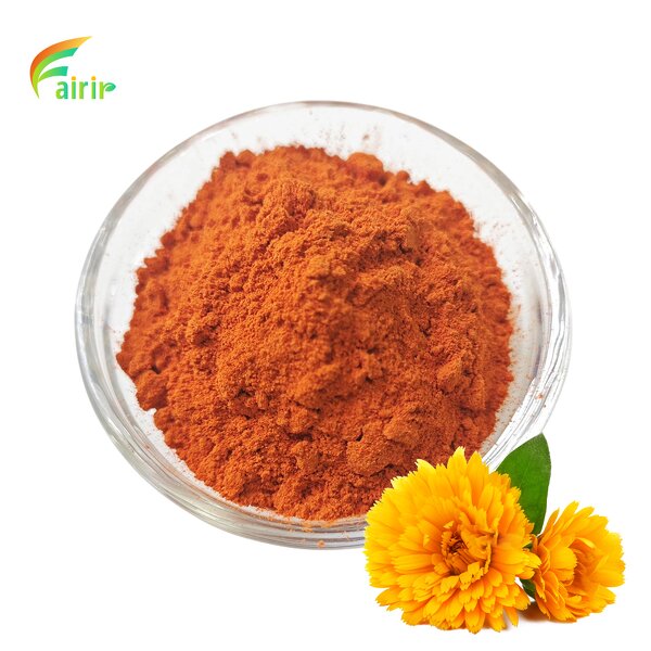 Ligustrum Lucidum - Natural Dried Fruit Extract Pure Powder MOQ 1 KG Bulk