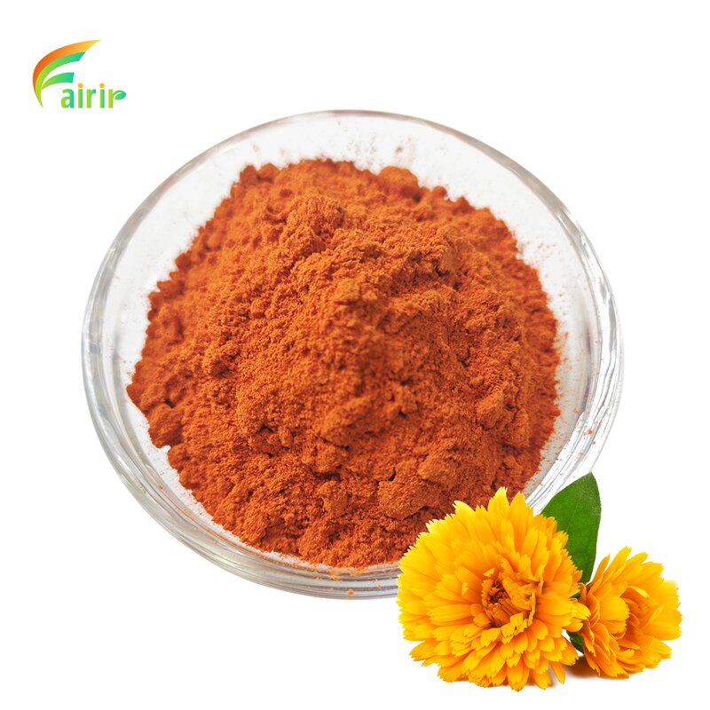 Ligustrum Lucidum - Natural Dried Fruit Extract Pure Powder MOQ 1 KG Bulk