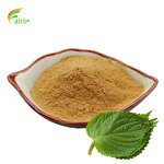 Mulberry Leaf Extract - 1%-15% 1-DNJ Powder Wholesale Free Samples OEM/ODM Fast Shipping