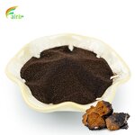 Chaga Mushroom Extract - Organic Black Gold Finer ISO Factory Price OEM ODM Pure