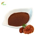 Pumpkin Extract - Natural Water-Soluble Pure Pumpkin Fruit Extract MOQ 1 KG