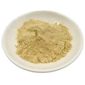 Sea Cucumber Peptide - 98% Holothurian Extract Food Grade Protein Powder Bulk