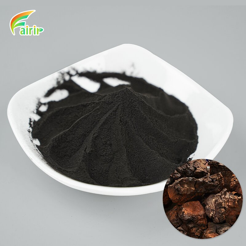 Chaga Mushroom Extract - 30% Polysaccharide 1% Triterpene Food Grade Vacuum Bottle