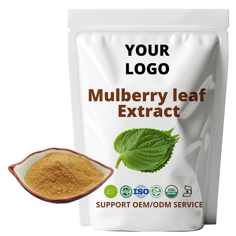 Mulberry Leaf Extract - 1%-15% 1-DNJ Powder Wholesale Free Samples OEM/ODM Fast Shipping
