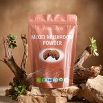 Mushroom Powder Manufacturer - Organic 12 Wild Mushroom Extract Mix Food Grade Bulk Free Samples