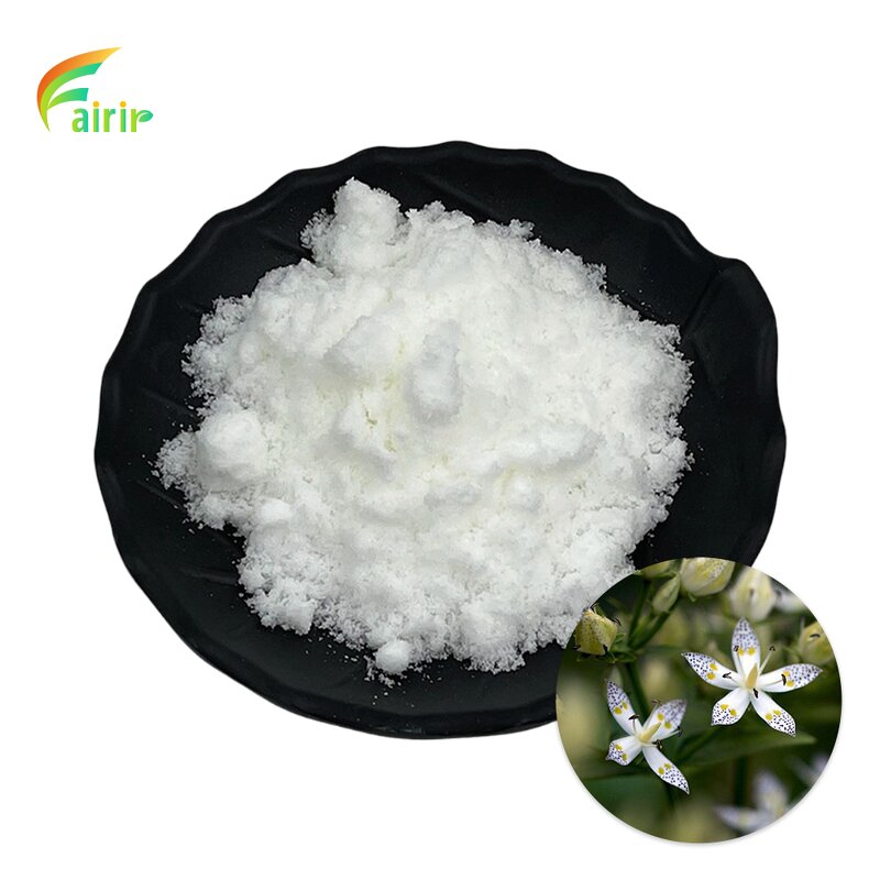 Lutein Powder Manufacturer - Natural Marigold Flower Extract Pure Bulk MOQ 1 KG