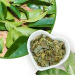 Soursop Leaf Tea Manufacturer - Private Label Dried Graviola Tea Leaves