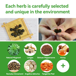 Belly Patch Manufacturer - 30 Day Mugwort Slimming Herbal for Navel