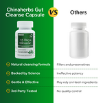 Cleanse Capsules Manufacturer - 15 Day Gut & Colon Support Fat Burner