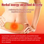 Menstrual Warm Patch Manufacturer - Mugwort Ginger Extract Heating Pad