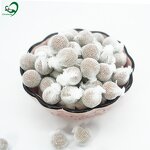 Goddess Empress Pearls Manufacturer - Tampon Set with Applicator, OEM