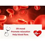 Blood Herbal Tea Manufacturer - Private Label Fat Support & Health