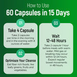Cleanse Capsules Manufacturer - 15 Day Gut & Colon Support Fat Burner