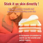 Menstrual Warm Patch Manufacturer - Mugwort Ginger Extract Heating Pad