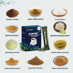 Slim Green Coffee Manufacturer - Instant Herbal Powder for Weight Loss