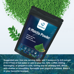 Matcha Powder Manufacturer - 100% Pure Ceremonial Grade Organic Green Tea