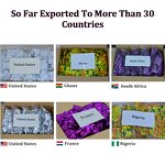 Vaginal Tampon Manufacturer - OEM Private Label Customized Bangdeli