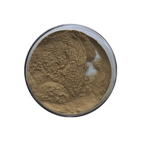 Ginseng Extract - Manufacturer - Natural Root Extract Ginsenoside Pure