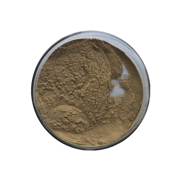 Ginseng Extract - Manufacturer - Natural Root Extract Ginsenoside Pure