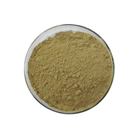 Beta-Ecdysterone - Manufacturer - HPLC 98% Purity Powder Natural Extract