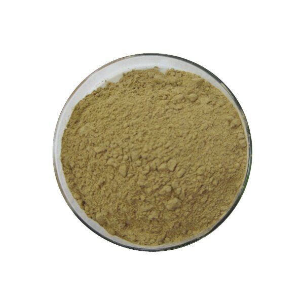 Beta-Ecdysterone - Manufacturer - HPLC 98% Purity Powder Natural Extract