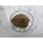 Bacillus Pumilus - Manufacturer - Top Quality Pure Bacteria Powder Bulk
