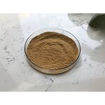 Horsetail Grass Extract - Manufacturer - Equisetum Arvense Pure Bulk Price