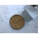 Ginseng Extract - Manufacturer - Natural Root Extract Ginsenoside Pure