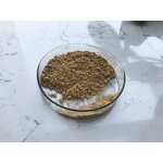 Bacillus Subtilis - Manufacturer - Top Quality Water Treatment Material