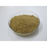 Beta-Ecdysterone - Manufacturer - HPLC 98% Purity Powder Natural Extract