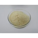 S-Adenosyl Methionine - Manufacturer - Top Quality Factory Direct Sell