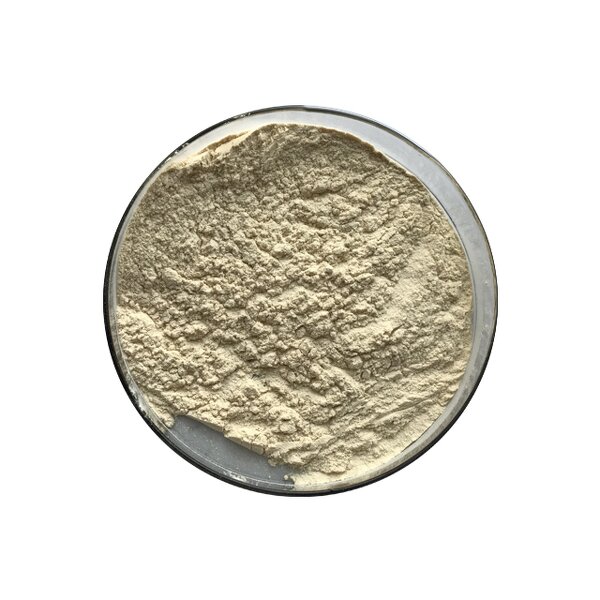 Monk Fruit Extract - Manufacturer - Luo Han Guo Powder Sweeteners Bulk