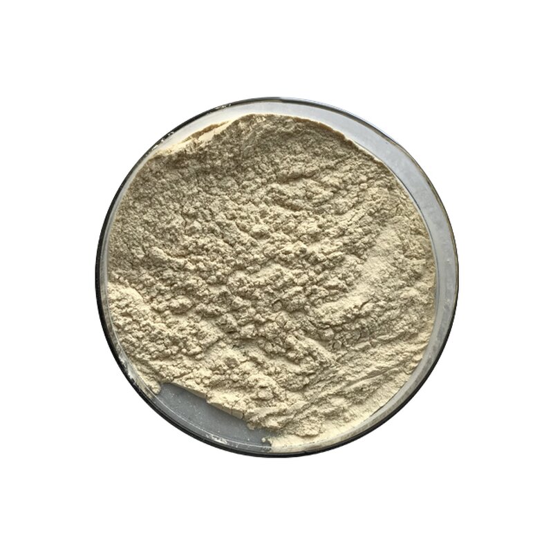 Monk Fruit Extract - Manufacturer - Luo Han Guo Powder Sweeteners Bulk