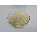 S-Adenosyl Methionine - Manufacturer - Top Quality Factory Direct Sell