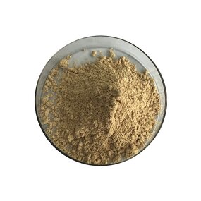 Silymarin Extract - Manufacturer - Chinese Factory Quality Powder Bulk