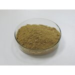 Beta-Ecdysterone - Manufacturer - HPLC 98% Purity Powder Natural Extract