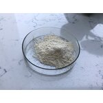 Ginseng Extract Powder - Manufacturer - 8%-80% Ginsenosides Bulk Sales