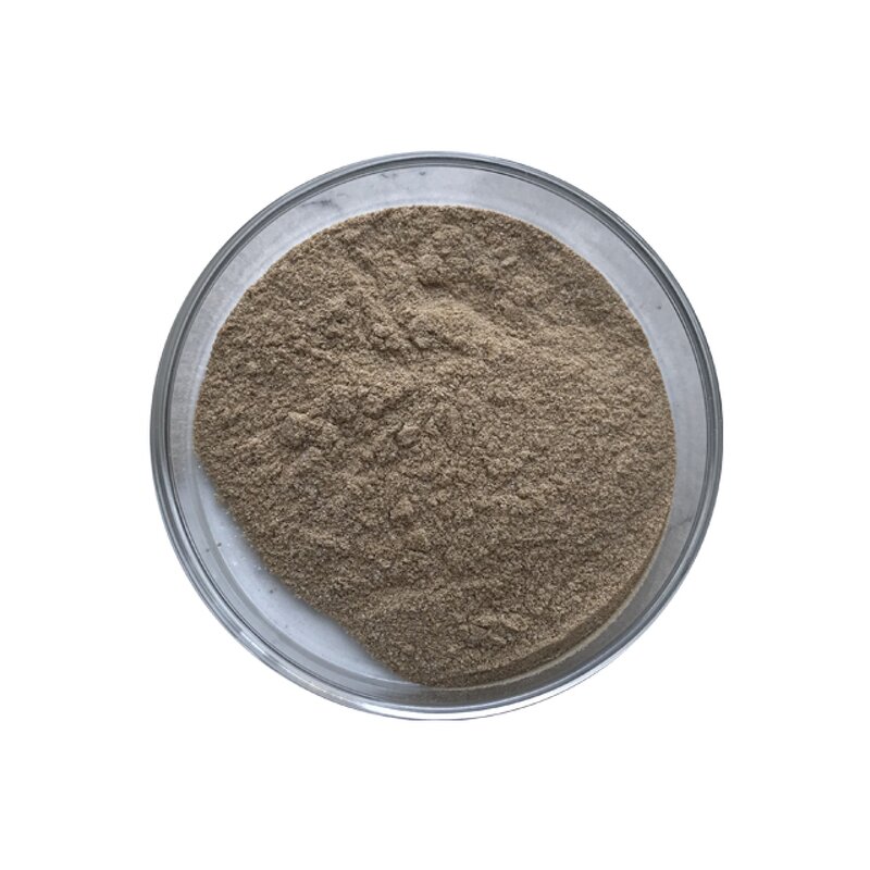 Bacillus Megaterium - Manufacturer - Fertilizer Efficiency Improvement Bulk