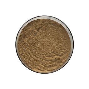 Horsetail Grass Extract - Manufacturer - Equisetum Arvense Pure Bulk Price