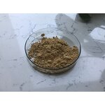 Bacillus Amyloliquefaciens - Manufacturer - Feed Grade Pure Powder Bulk